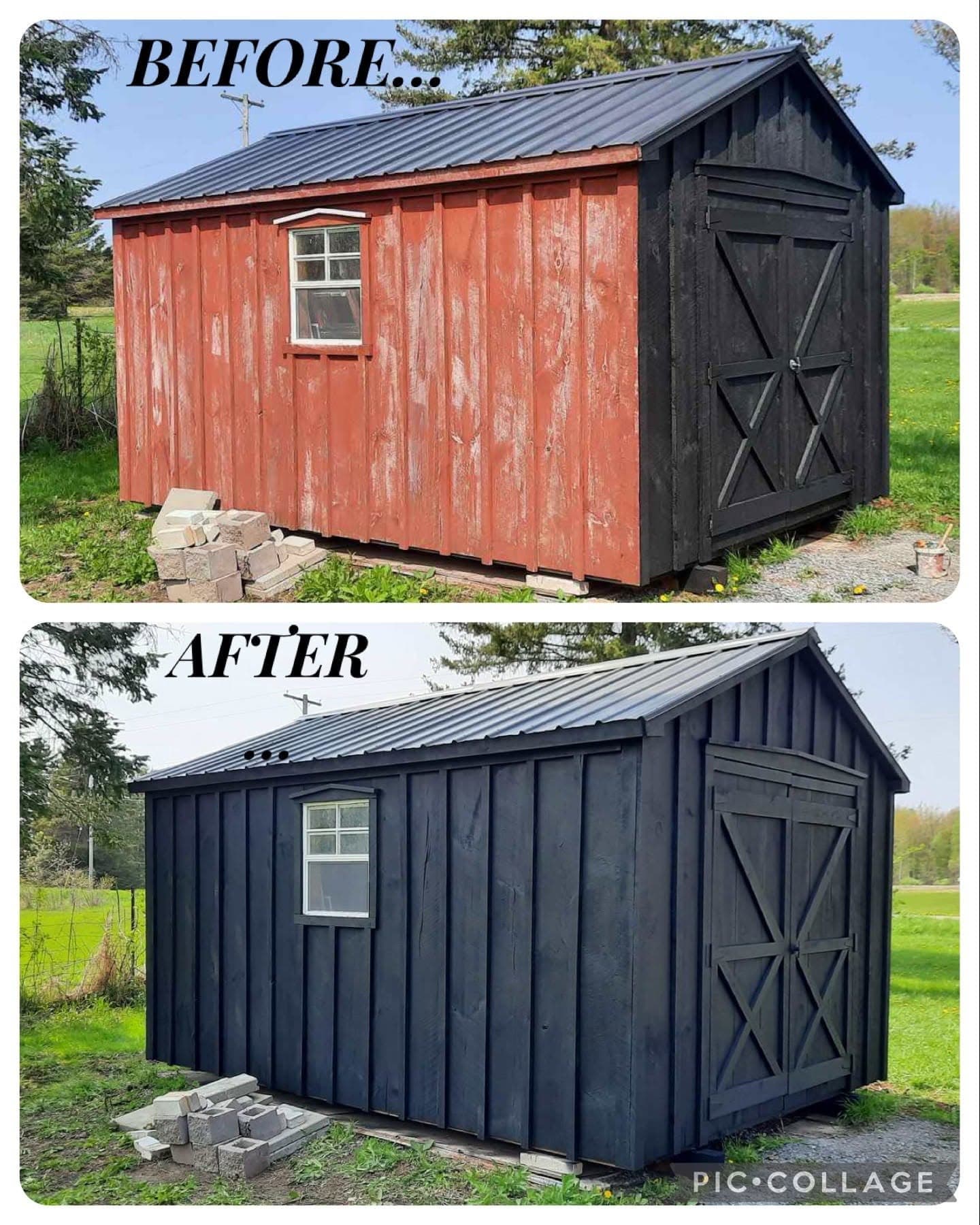 Exterior shed repaint with crisp edges